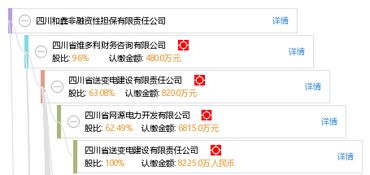 四川和鑫非融资性担保有限责任公司 专注非融资性担保业务，助力企业稳健发展