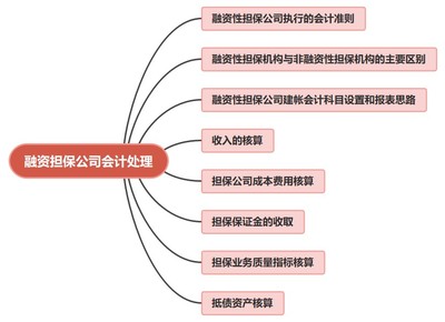 非融资性担保业务在融资担保公司的会计账务处理探析